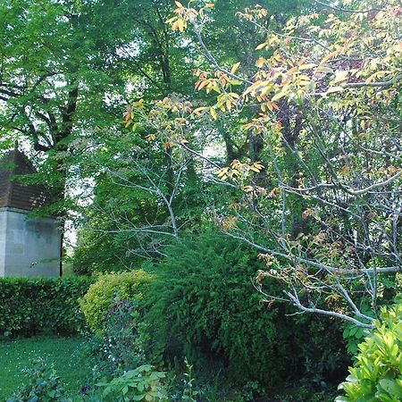 Domaine De Plisseau Bed and Breakfast Gauriac Exterior foto