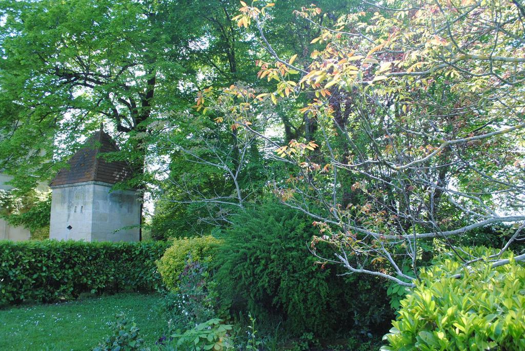 Domaine De Plisseau Bed and Breakfast Gauriac Exterior foto