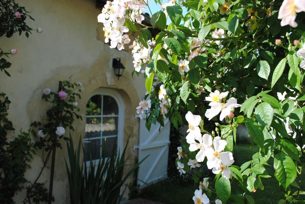 Domaine De Plisseau Bed and Breakfast Gauriac Exterior foto